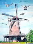 hollandmolen