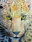panter25-10