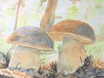 eekhoorntjesbrood25