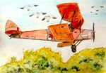 tigermoth25-9