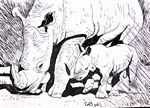 witteneushoorns26