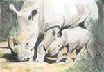 neushoorns25