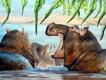 nijlpaarden24
